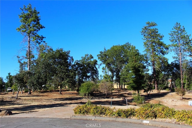 527 Nottingham, Paradise CA, 95969 land for sale