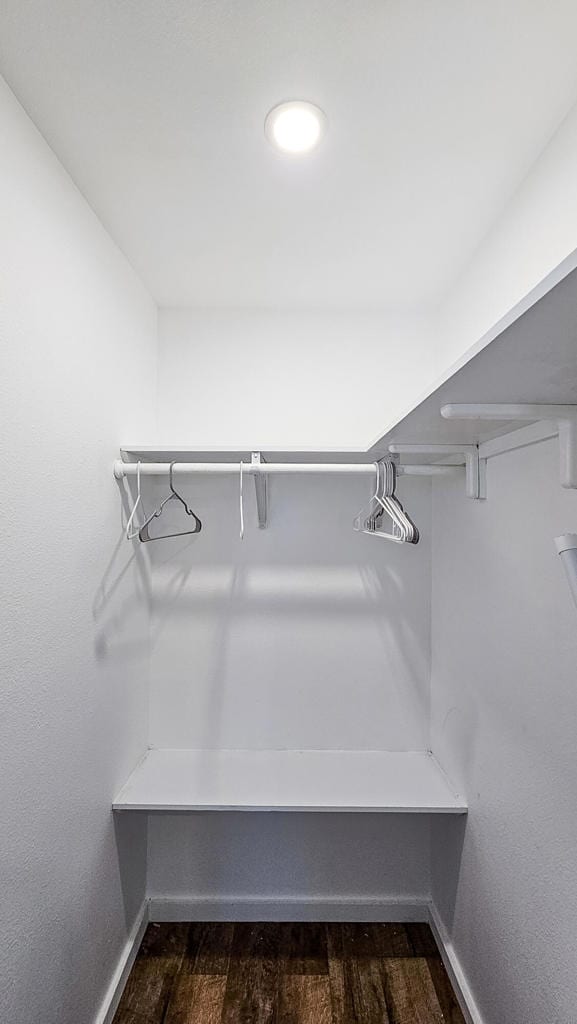 walk in closet featuring dark wood-type flooring