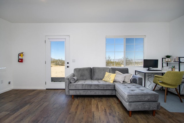 living room featuring dark hardwood / wood-style flooring