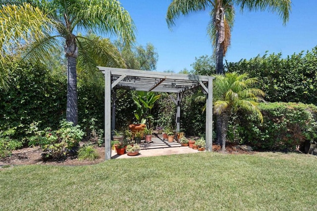 view of yard with a patio and a pergola