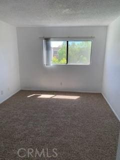 empty room featuring carpet floors