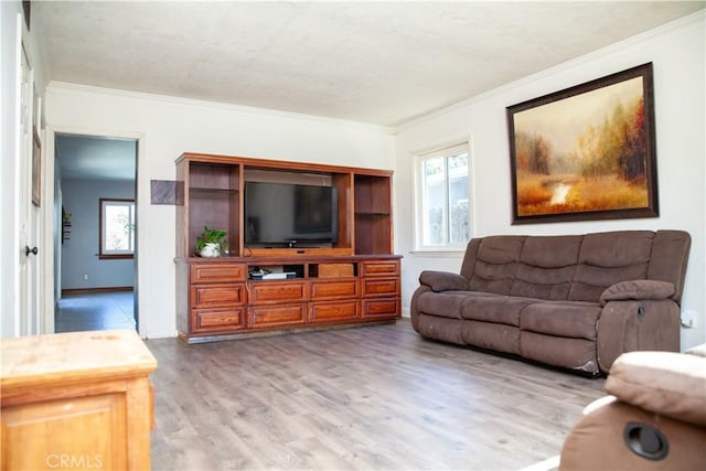 living room featuring light hardwood / wood-style flooring and ornamental molding