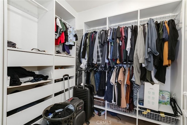 spacious closet with wood-type flooring