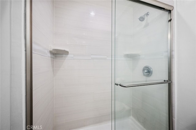 bathroom featuring a shower with shower door