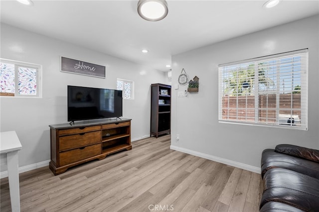 living room featuring a healthy amount of sunlight and light hardwood / wood-style floors