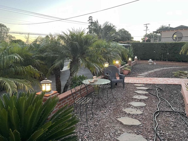 view of yard featuring a patio