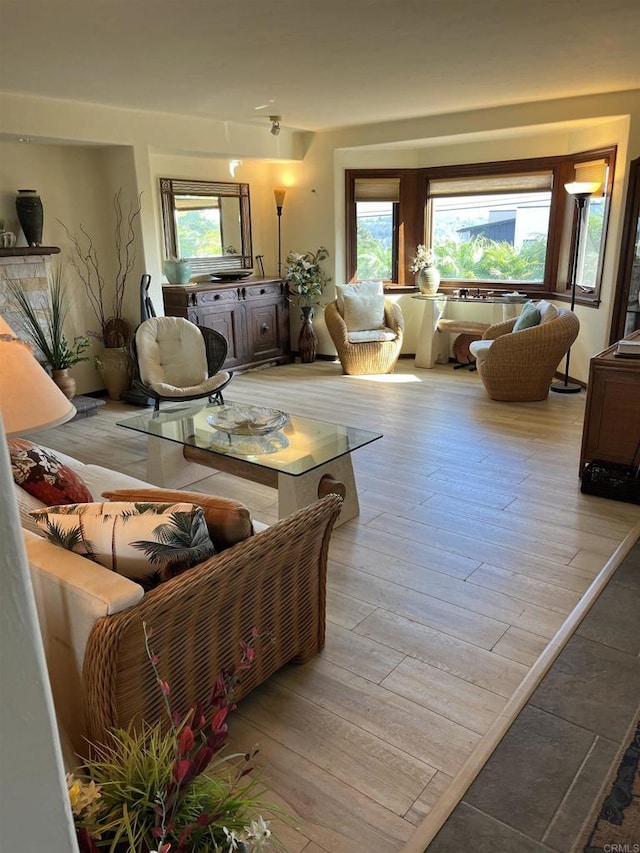 living room featuring light hardwood / wood-style floors