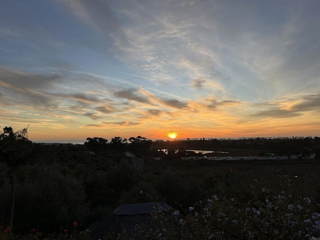 view of nature at dusk