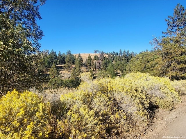 16851 Interlaken St, Tehachapi CA, 93561 land for sale