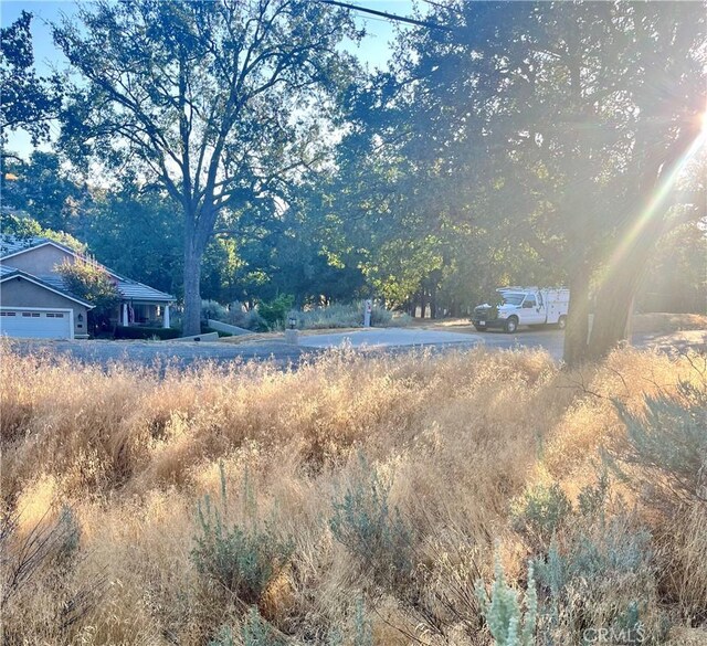 0 Alps Dr, Alpine Forest, CA 93561 - photo 3