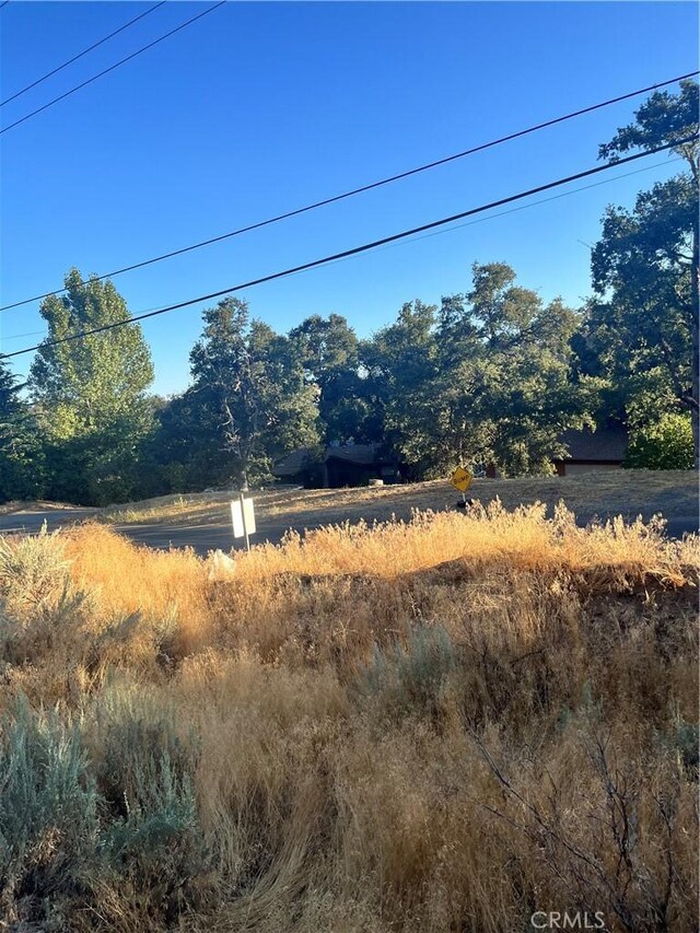 0 Alps Dr, Alpine Forest, CA 93561 - photo 4