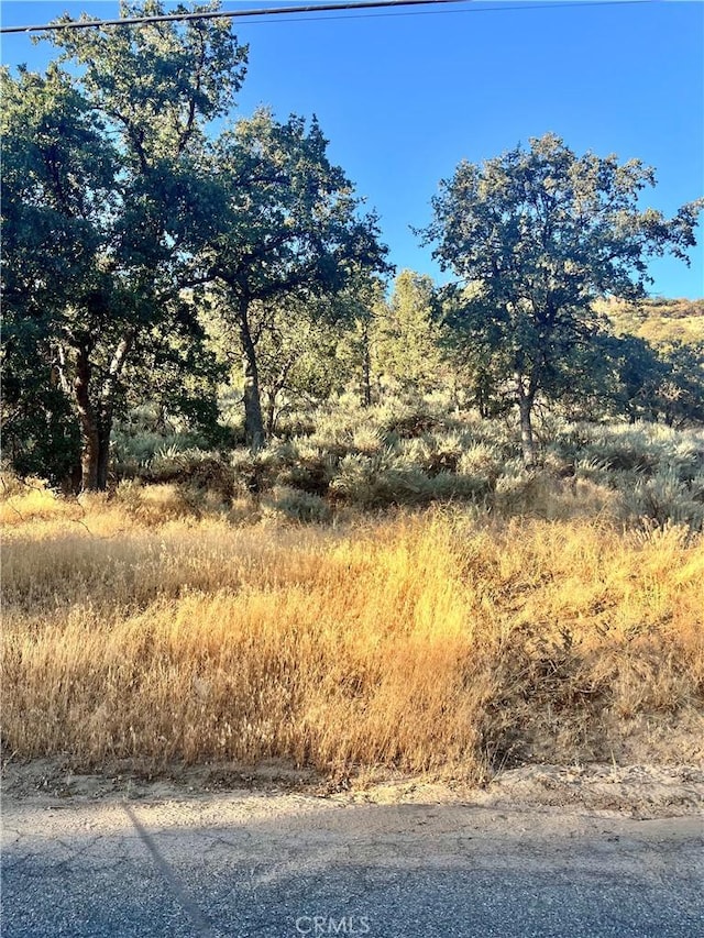 0 Alps Dr, Alpine Forest, CA 93561 - photo 2