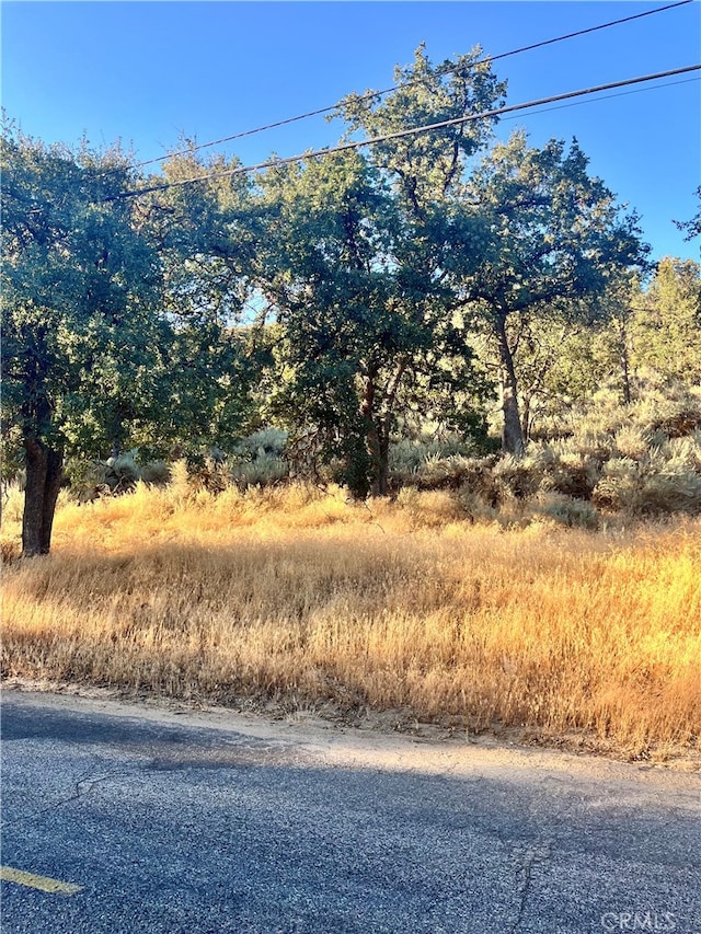 0 Alps Dr, Alpine Forest CA, 93561 land for sale