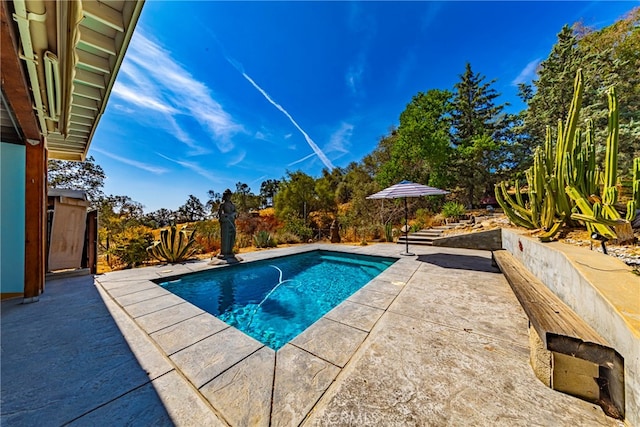 view of pool with a patio