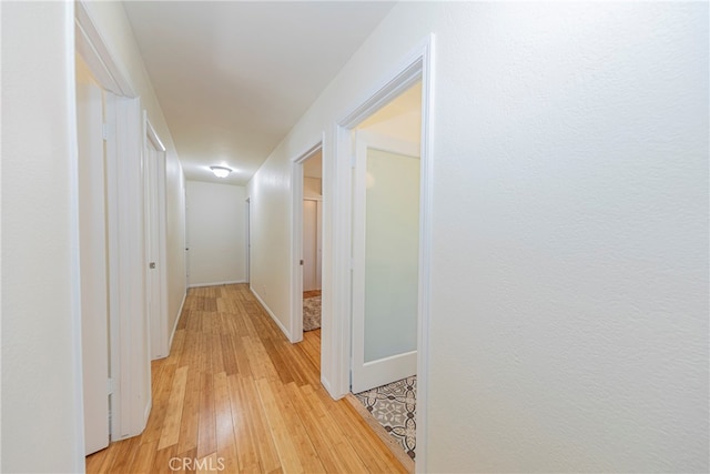 hall featuring light hardwood / wood-style floors