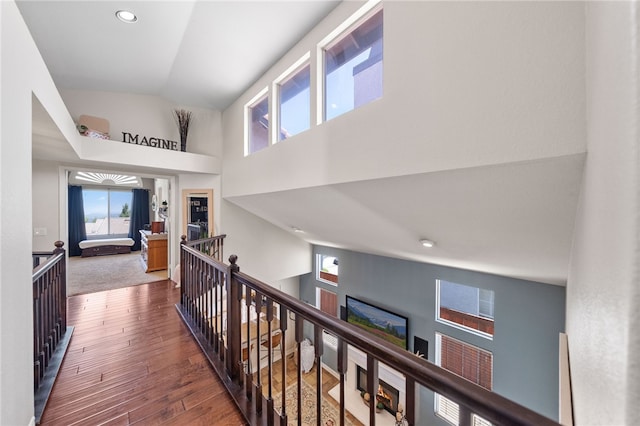 hall featuring high vaulted ceiling and dark wood-type flooring