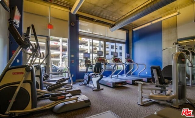 workout area featuring carpet flooring