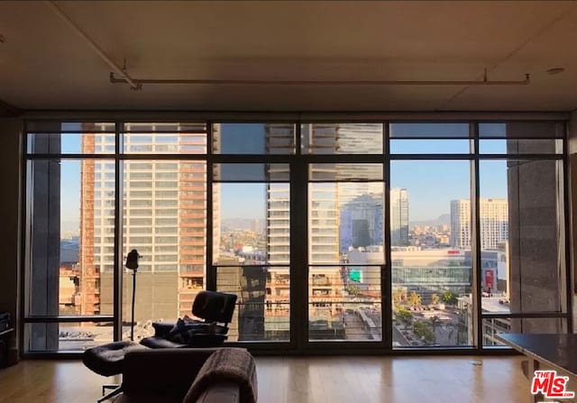 interior space with floor to ceiling windows, wood-type flooring, and plenty of natural light