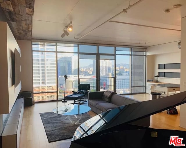 living room featuring wood-type flooring, a healthy amount of sunlight, and a wall of windows