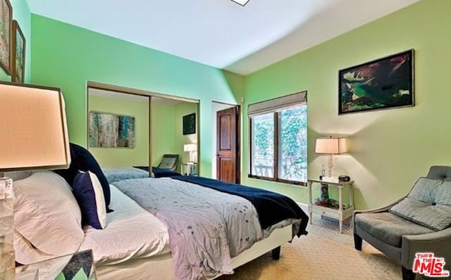 carpeted bedroom with a closet