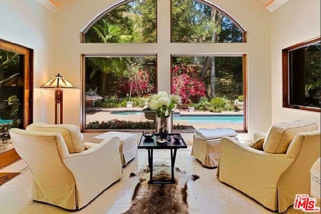 interior space featuring ornamental molding, a towering ceiling, and plenty of natural light