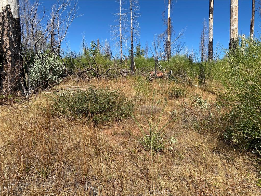 0 Bonnie Meadow Ln, Berry Creek, CA 95916 - photo 3