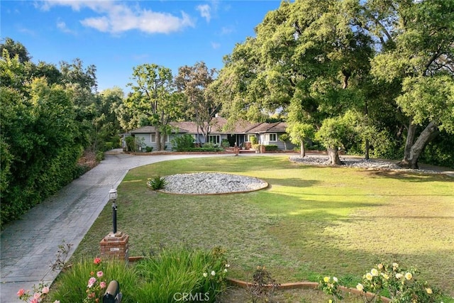 view of front of home featuring a front lawn and curved driveway