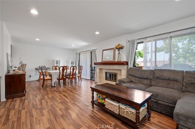 living room featuring a fireplace and hardwood / wood-style flooring