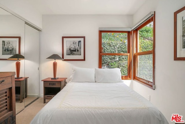 bedroom with a closet and light colored carpet