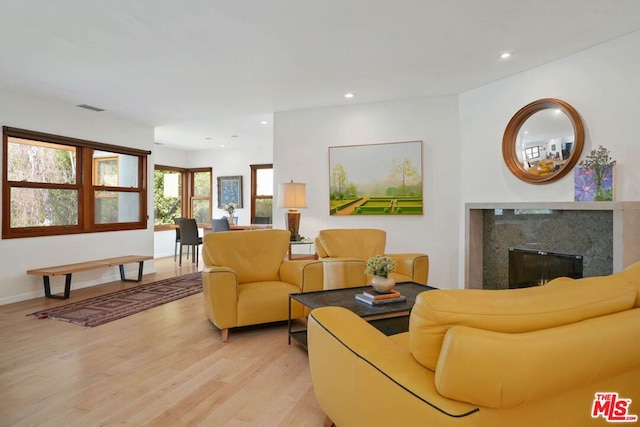 living room with a fireplace and light hardwood / wood-style floors