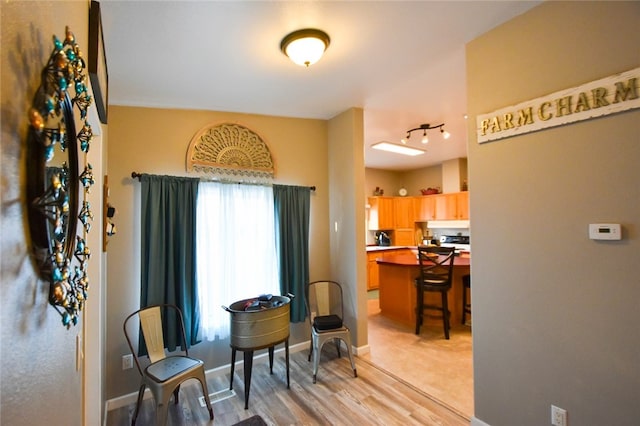 interior space with rail lighting and light hardwood / wood-style floors