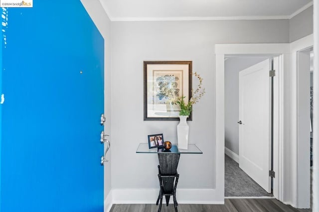 corridor featuring dark hardwood / wood-style floors and crown molding