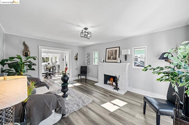 living room with wood-type flooring, a fireplace, and crown molding