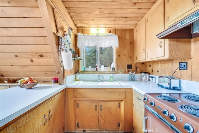 kitchen with wooden walls, stainless steel electric range oven, sink, and wood ceiling