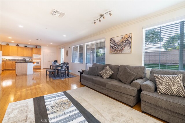 living room featuring sink, light wood-type flooring, and ornamental molding