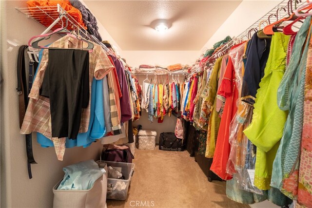 walk in closet featuring carpet flooring