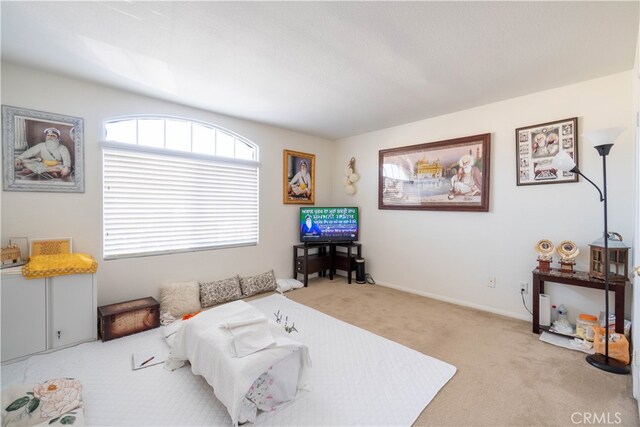 bedroom with light carpet