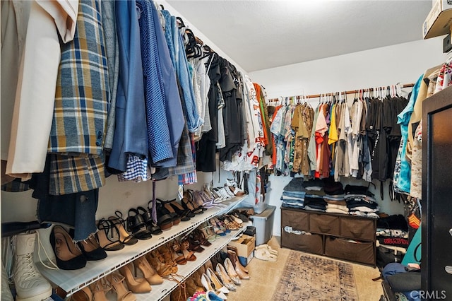 spacious closet featuring carpet floors