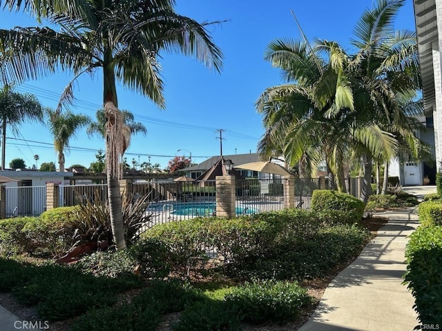 view of swimming pool