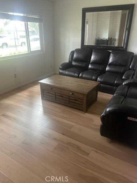 living room with light wood-type flooring