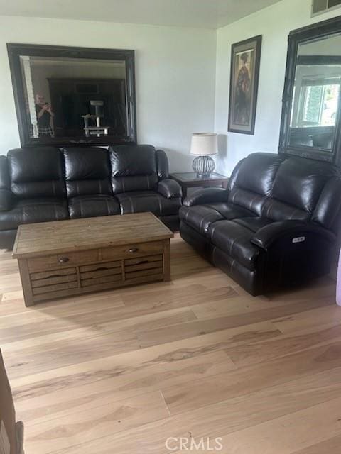 living room featuring light hardwood / wood-style flooring