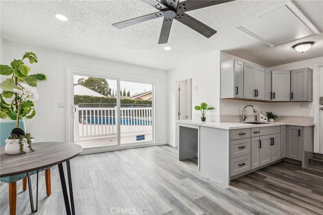 kitchen featuring gray cabinets, sink, a textured ceiling, and hardwood / wood-style flooring