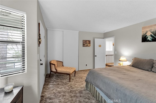 bedroom featuring carpet, multiple windows, and a textured ceiling