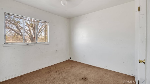 unfurnished room featuring carpet