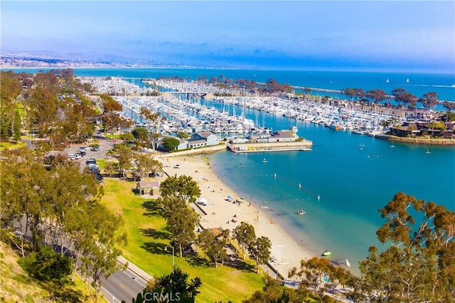 drone / aerial view with a water view and a beach view