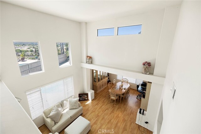 living room with hardwood / wood-style floors and a high ceiling