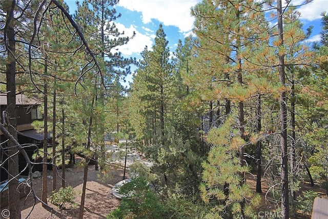 view of local wilderness with a forest view