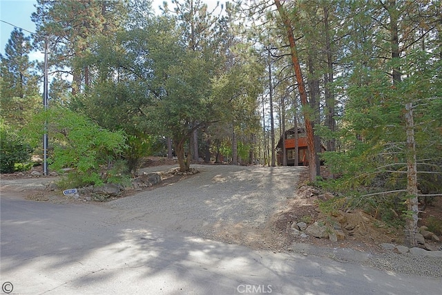 view of yard with driveway