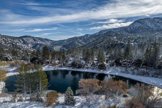 view of mountain feature featuring a forest view and a water view