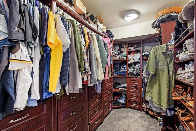 spacious closet featuring carpet